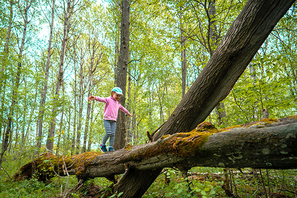 bambina cammina su un tronco nel bosco