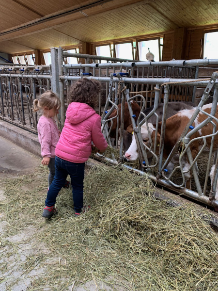 bambine che accarezzano una mucca